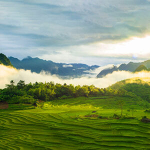 puluong-rice-terraced-field